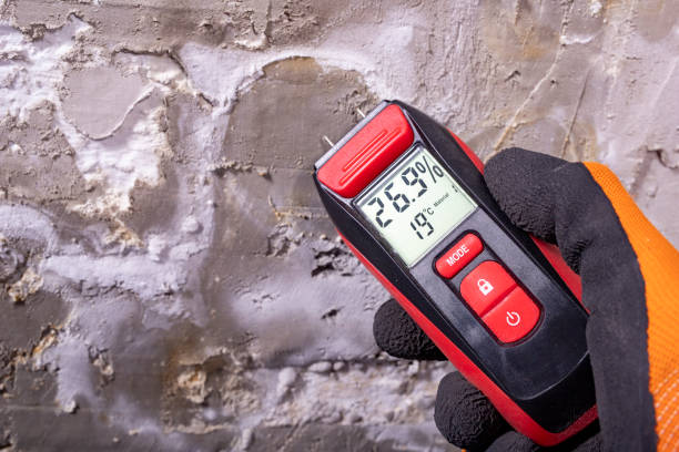 Best Professional Mold Removal  in Connersville, IN