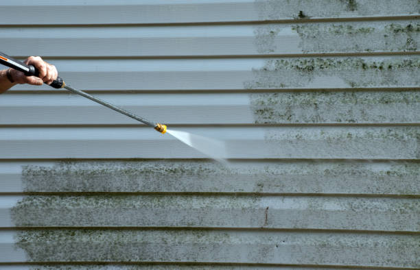 Best Mold Remediation Experts  in Connersville, IN