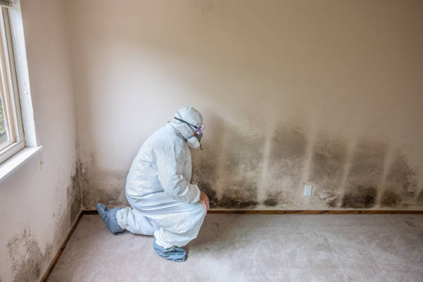 Best Mold Testing  in Connersville, IN